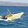 utility inflatable boat / twin engine / outboard / center console - FORCE 7 PRO