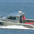 utility motor-boat / Aluminium / patrol-boats - 29' DJ
