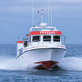 utility motor-boat / fishing - CLEOPATRA FISHERMAN 33