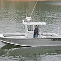 utility motor-boat / high-speed / patrol-boats - SEAHAWK (18'6