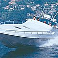utility motor-boat / high-speed / patrol-boats - GUARDIA DI FINANZA