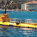 utility motor-boat / passenger boats - 65' VIEWING VESSEL