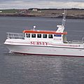 utility motor-boat / patrol-boats - CLEOPATRA 38