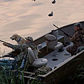 utility open boat / Aluminium - 180 FREEDOM TL