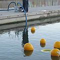 weir oil skimmer / sheltered waters - MICRO