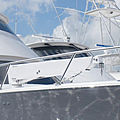 yacht lights davit / and rotary operated / telescopic - HMC