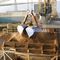 discharge grab for bulk carrier ships FOUR ROPE The Grab Specialist BV T.G.S. 