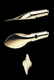 folding propeller for racing sailboat (2 blades)