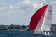 ocean racing sailboat (class mini 6.50)