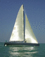 sailboat : racing sailing-yacht (in carbon, canting keel)