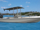 T-Top for power-boat