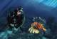 DIVING CATALOGUE 2011