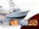 Albemarle Boats 2009 Full Line Product Brochure - Albemarle