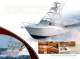 Albemarle Boats 2009 Full Line Product Brochure - Albemarle