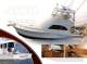 Albemarle Boats 2009 Full Line Product Brochure - Albemarle