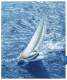 CRUISER LINE - BAVARIA Sailing