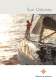 SUN ODYSSEY 2012 - Jeanneau - Sailboats