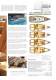 SUN ODYSSEY 2012 - Jeanneau - Sailboats