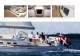 Xcruising : Xc45
