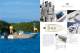 Scout Boats, Inc. - Scout Boats