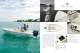 Scout Boats, Inc. - Scout Boats