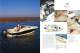 Scout Boats, Inc. - Scout Boats