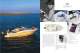 Scout Boats, Inc. - Scout Boats