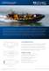 Ribcraft Professional Range