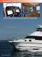 Noosa Cat Australia P/L
