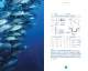 2007 catalogue - Bare Divewear