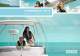 POWERBOAT 2013 ENGINES, OPTIONS AND NEWS