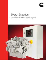 C Command Electronic Information System