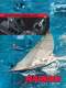 HARKEN CATALOGUE 2011 - Harken