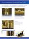 StructureScan HD Brochure