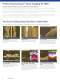 StructureScan� Sonar Imaging for HDS�