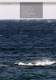 GAASTRA CATALOG 2011 - Gaastra Windsurfing