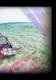 2012gw-brochure-20110922lr - Gaastra Windsurfing