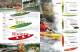 2011 RTM BROCHURE - ENGLISH