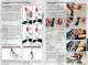 2011NaishKiteManual - Naish Kiteboarding