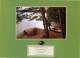 Elco Motor Yachts Brochure