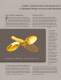 MK III / MARK IV BROCHURE