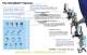 UltraMAX 11x17 Brochure-ML1432 - Magnum Venus Plastech