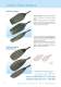 Paddles_Catalogue_2010.pdf