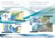 MapMedia Catalogue