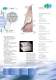 DP_Flex_Pen_Cruise_E.pdf