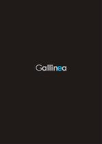 COMPANY PROFILE