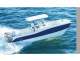 Honda Marine 2009 - Honda Europe Power Equipment