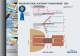 transformer model 3384