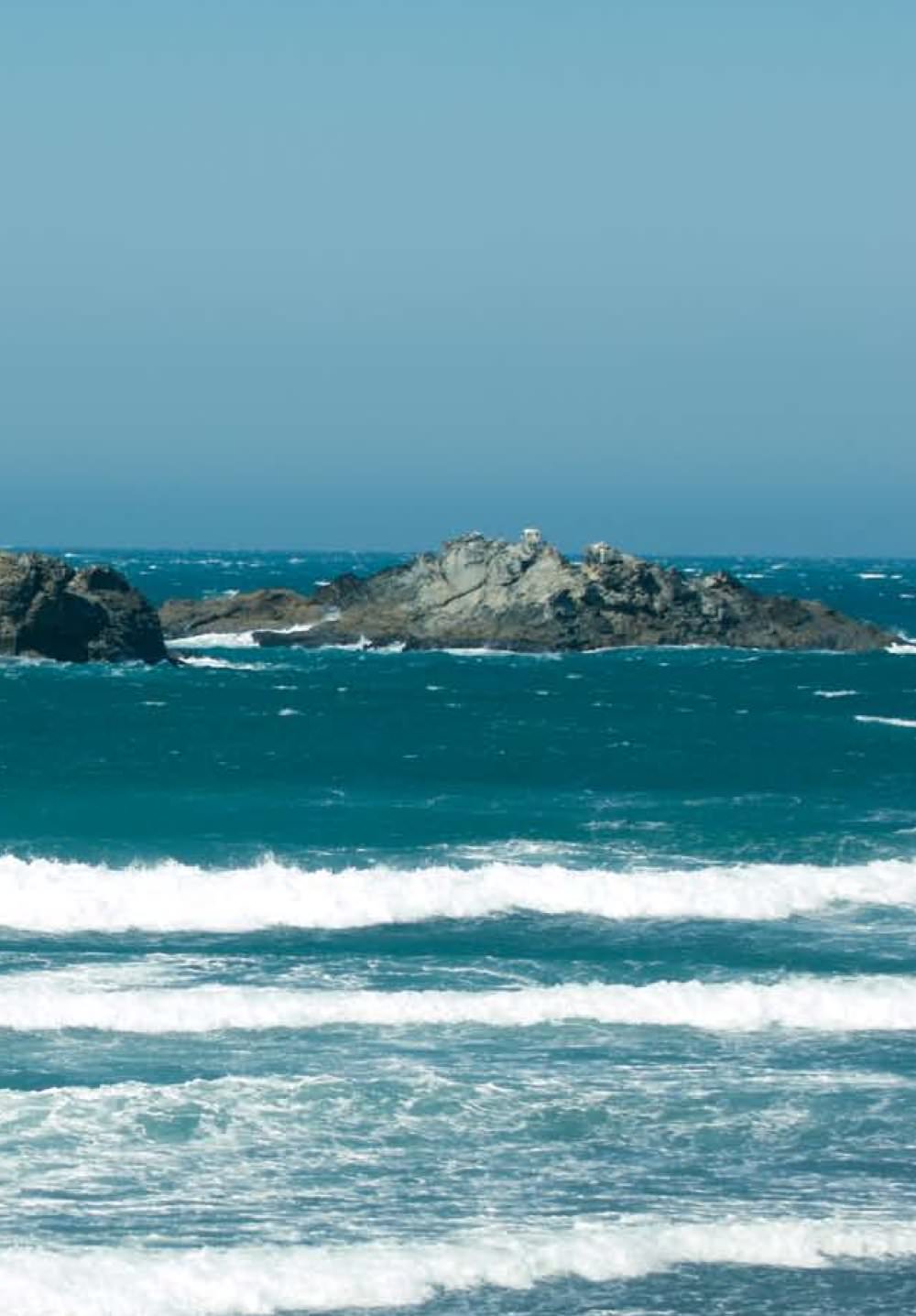 North Kites - 