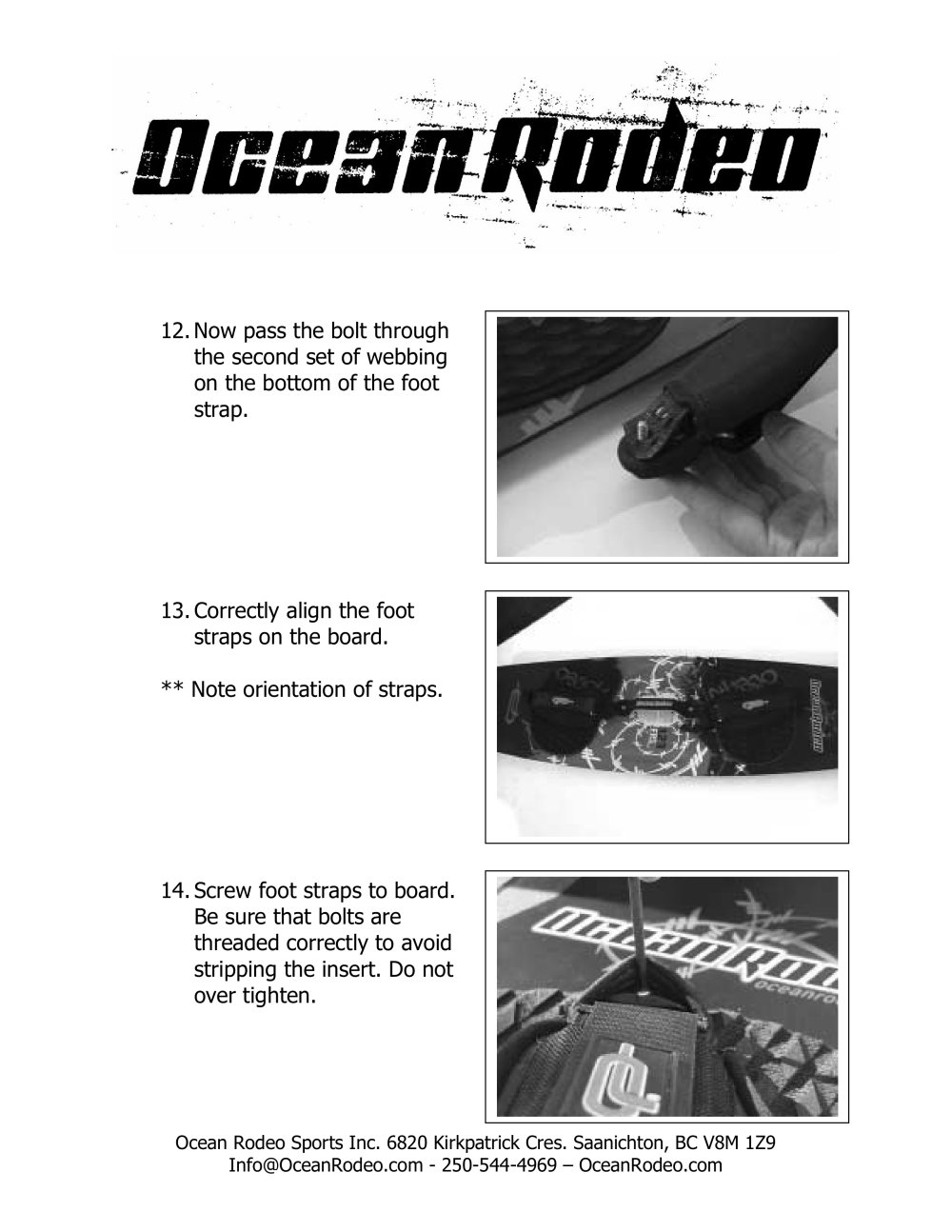 Ocean Rodeo - 19430